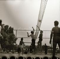 Sinka Antal (?-?) hagyatékából (aki a velencei AGROKOMPLEX fotósa volt az 1960-as, 1970-es években) ...