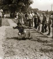 Sinka Antal (?-?) hagyatékából (aki a velencei AGROKOMPLEX fotósa volt az 1960-as, 1970-es években) ...