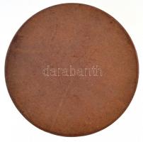 1931. "Demény Károly örökös vándordíj emlékérem" Br emlékérem (60mm) T:2