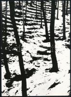 cca 1975 Gebhardt György (1910-1993) budapesti fotóművész hagyatékából 3 db jelzés nélküli vintage fénykép téli tájakról, 18x24 cm és 23,5x17 cm között