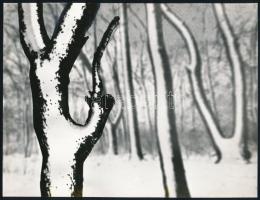 cca 1975 Gebhardt György (1910-1993) budapesti fotóművész hagyatékából 3 db jelzés nélküli vintage f...