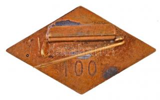 DN "Sajtó" zománcozott jelvény hátoldalán "100"-as sorszámmal (27x46mm) T:2 enyh...