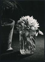 cca 1958 dr. Csörgeő Tibor (1896-1968) hagyatékából 2 db vintage fotó, az egyik feliratozott, 24x18 ...