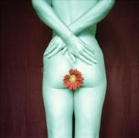 cca 1985 Aktfotózás, 13 db vintage negatív, 6x6 cm