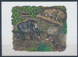 Afrikai állatok, csimpánz blokk, African animals, chimpanzee block