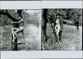 cca 1974 Édenkerti szép emlékek, 3 db szolidan erotikus, mai nagyítás régi negatívokról, 25x18 cm / 3 erotic photos, 25x18 cm