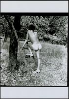 cca 1974 Édenkerti szép emlékek, 3 db szolidan erotikus, mai nagyítás régi negatívokról, 25x18 cm / ...