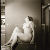 cca 1965 A konyhaszekrény őrzője, szolidan erotikus felvételek, 4 db vintage negatív, 6x6 cm