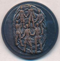 Belgium 1993. "FIBRU 1853" Br emlékérem eredeti tokban (34mm) T:1,1-
Belgium 1993. "...