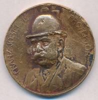 Ausztria ~1910. "I. Nemzetközi Vadászkiálltás Bécs / Ferenc József - Védnök" Br emlékérem ...