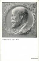 Jókai Mór születésének 100. évfordulójára készített emlékplakett képe s: Zákodi Csiszér János