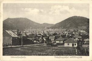 Sátoraljaújhely, Tokaj hegyaljai szőlőhegyek (EK)