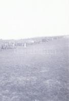 cca 1925 Katonai negatívok kiképzésről, tisztekről, stb., 13 db vintage negatív, 4,5x6,5 cm