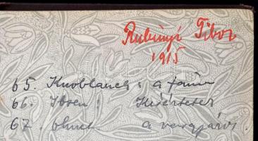 Kolligátum színművekből: 
Edward Knoblauch: A faun. Vígjáték három felvonásban. Fordította: Sebesty...