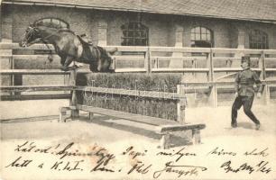 Hussar horse trainer during training (fa)