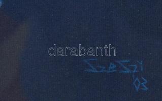 Szeszi jelzéssel: Női akt, pasztell, papír, paszpartuban, üvegezett fa keretben, 61,5×44 cm