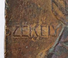 Székely Károly (1882-1941): Dr. Horthy Szabolcs (1873-1914). Jász-Nagykun-Szolnok vármegye hősi halá...