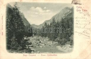 1898 Tátra, Nagy-Tarpatak / Gross-Kohlbachthal