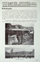 1937 Szegő Vilmos bőr és gépszíjgyárának árjegyzéke. Bp., Kiss Gyula és Társa Törekvés Nyomdája, 123...