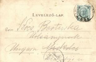 1899 Siófok, Fürdőház, fürdőzők. Divald Károly 204. sz. Art Nouveau (EK)
