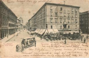 Fiume, Via Adamich e Hotel Lloyd / utcakép, Lloyd szálloda és étterem, G. Chopris könyvtára, üzletek, lóvasút, hintó. Römmler & Jonas kiadása / street view, hotel and restaurant, library, shops, horse-drawn tram, chariot (EK)