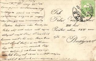 1913 Szatmárnémeti, Satu Mare; Emlék a szatmári szervezett vasmunkások mulatságáról, csoportkép. Tót...