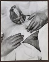 cca 1930 Krepuska Géza (1861-1949) orvos, egyetemi tanár, a modern magyar fülgyógyászat megalapítójá...