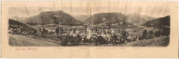 Mariazell, panoramacard (tiny pinhole)