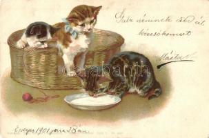 Cats. Theo. Stroefers Kunstverlag Aquarell-Postkarte Serie V. No. 5250. litho (EK)