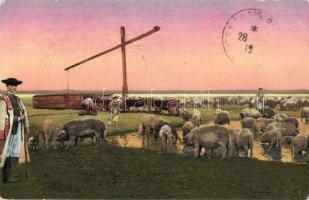 Hortobágy - 8 db régi képeslap, folklór motívumlap, népviselet