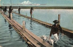 Hortobágy - 8 db régi képeslap, folklór motívumlap, népviselet