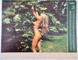 1986 "Zöldben", akt falinaptár