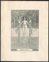 Mosonyi-Pfeiffer, Hellmann (1863-1905): Ex libris Brázay Zoltán, rézkarc, papír, jelzett a dúcon, 17,5×13,5 cm