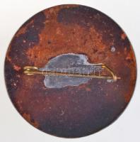 DN "Petőfi Liga" zománcozott turista jelvény (26mm) T:2,2-