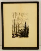 Börtsök jelzéssel: Erdős dombok. Akvarell, papír, üvegezett keretben, 26×16 cm