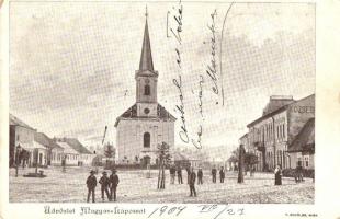 Magyarlápos, Oláhlápos, Targu Lapus; utcakép templommal, községház / street view with church, town hall