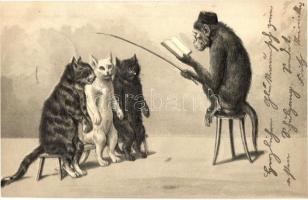 Monkey teacher with cats. Emb. litho