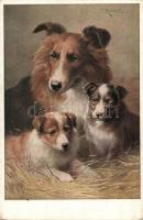 Dogs. T. S. N. Serie 1544. (6 Muster) s: Carl Reichert (EK)