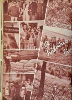 1939 Vasárnapi Újság - Új Magyarság képes melléklete, hiányos, fél évfolyam. Vászonkötésben, rengete...