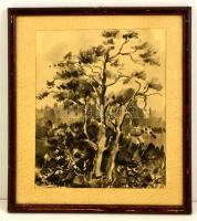 Olvashatatlan jelzéssel: Fa, tus-akvarell, paszpartuban, üvegezett fa keretben, 37×30 cm