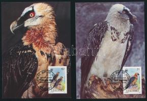 WWF: Saskeselyű sor 4 db CM-en WWF: Bearded vulture set on 4 CM