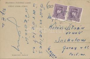 Zsély, Zelovce; Sósárfürdő. G. Jilovsky kiadása / Sosárske Lázne / spa