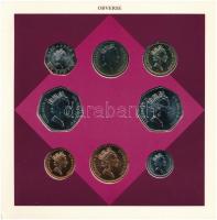 Nagy-Britannia 1993. 1p-1Ł (8xklf) forgalmi sor karton díszcsomagolásban, 1993. 50p Cu-Ni "Brit...