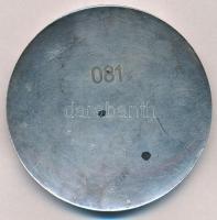 Demjén László (1935-)(?) 1995. "Hatvan éves a Magyar Légoltalom" ezüstözött Br plakett, há...