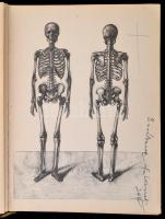 Barcsay Jenő: Anatomy for the artists. Bp., 1967, Corvina. Kiadói egészvászon-kötésben, belső címlap hiánnyal./ Linen-binding, with inner cover missing in English