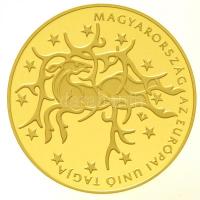 2004. 50.000Ft Au "Magyarország az Európai Unió tagja" tanúsítvánnyal (13,96g/0.986) T:PP / Hungary 2004. 50.000 Forint Au "Hungary becomes a member of the European Union" with certificate (13,96g/0.986) C:PP Adamo EM191