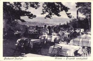 Budapest XII. Zugliget, kilátás a Disznófő vendéglőből (felületi sérülés / surface damage)