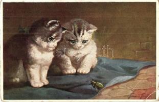 Cats. W.L.B. Primus 03336. artist signed (EB)