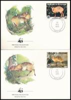 WWF Zebra duiker set 4 FDC WWF; Zebra-bóbitásantilop sor 4 db FDC-n