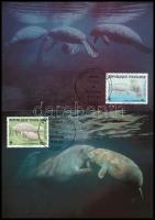 WWF Manatee set 4 CM WWF: Manátusz sor 4 db CM-en